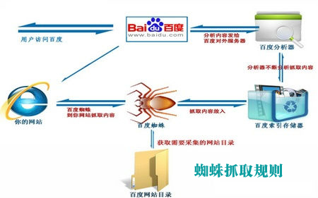 蜘蛛抓取文章,提高网站收录,提高网站流量